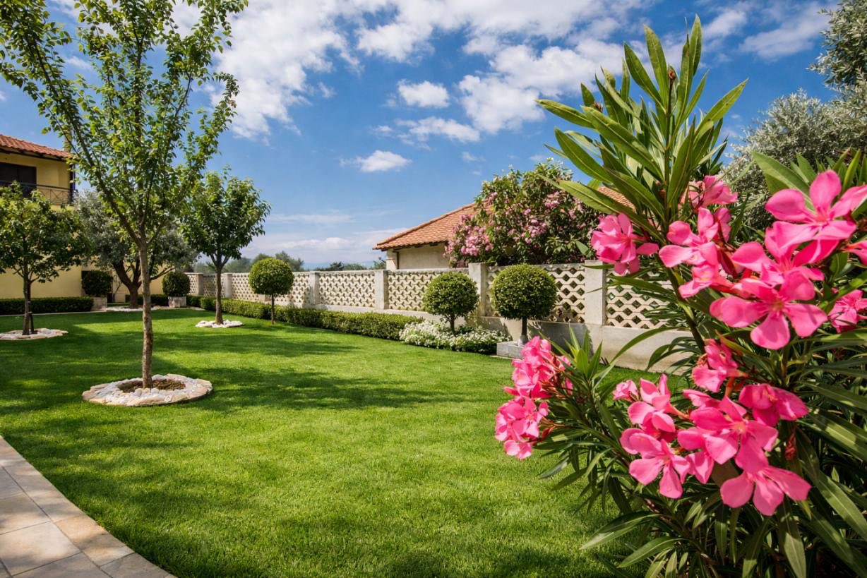 Terrace, garden and outdoor living